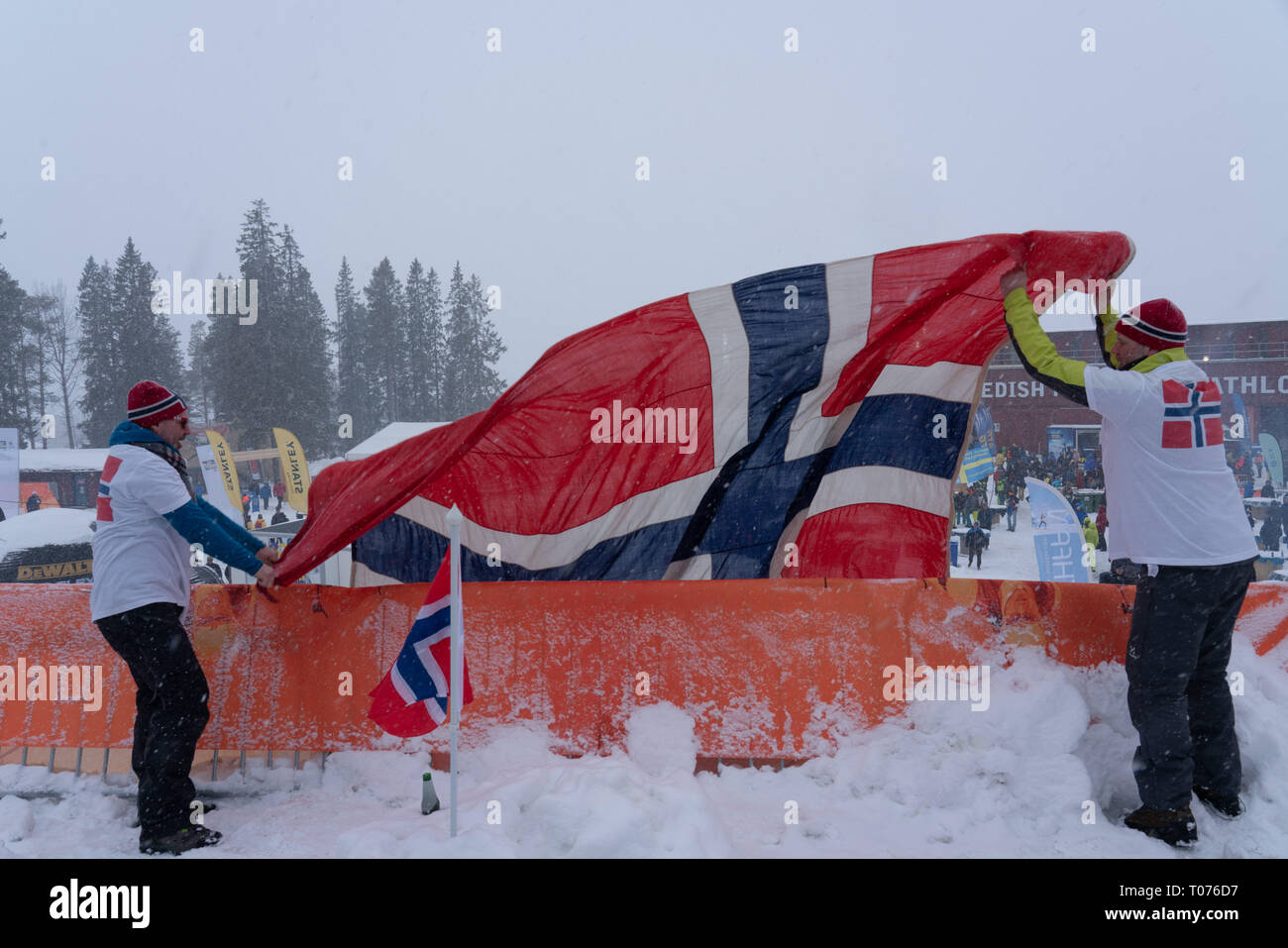 Ski Stadium, Östersund, Schweden, 17. März 2019. Es war für Männer und Frauen Massenstart am letzten Tag des IBU Biathlon Weltmeisterschaften und 20.000 Fans füllten das Stadion in Östersund. Athleten und Zuschauer hatten mit starken Winden und schweren Schnee, den ganzen Tag zu beschäftigen. Im Bild: norwegischen Fans genießen Sie die elektrischen Atmosphäre und versuchen Sie, die konstante Schnee Bild: Rob Watkins/Alamy Nachrichten zu ignorieren Stockfoto