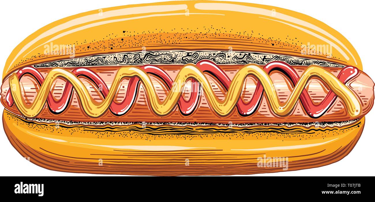 Hand gezeichnete Skizze der Hot Dog in Farbe auf weißem Hintergrund. Detaillierte Vintage Style Zeichnung. Vector Illustration Stock Vektor