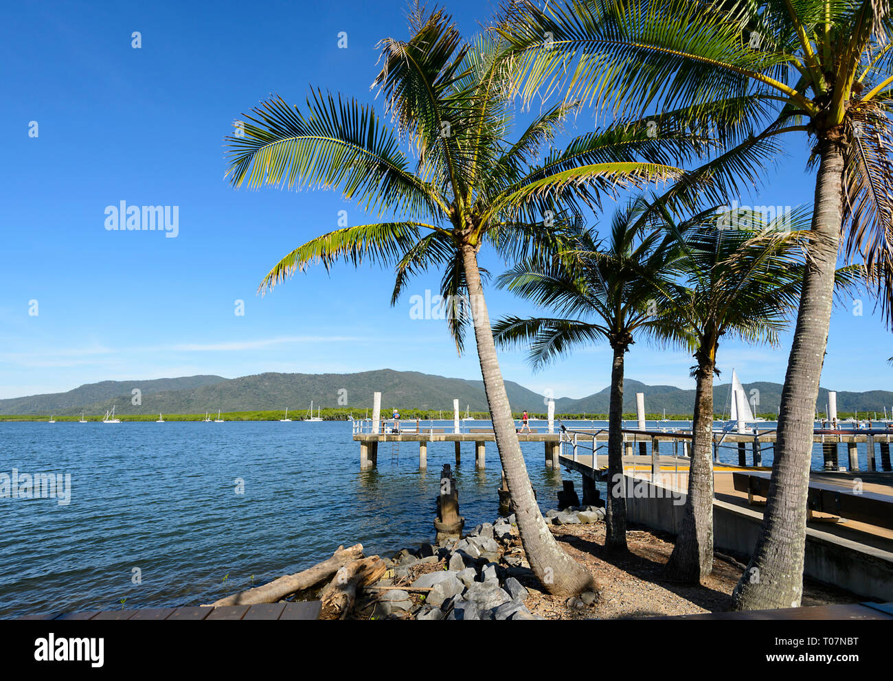 Malerischer Blick auf Marlin's Wharf mit Palmen entlang Trinity Inlet, Cairns, Far North Queensland, FNQ, QLD, Australien Stockfoto