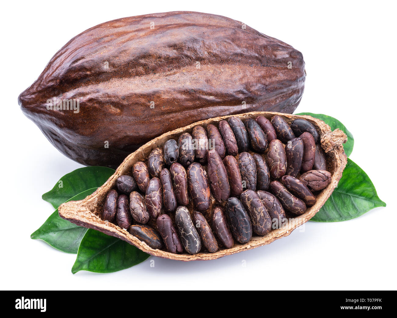 Kakaofrüchte und Kakao - Schokolade Basis auf einem weißen Hintergrund. Stockfoto
