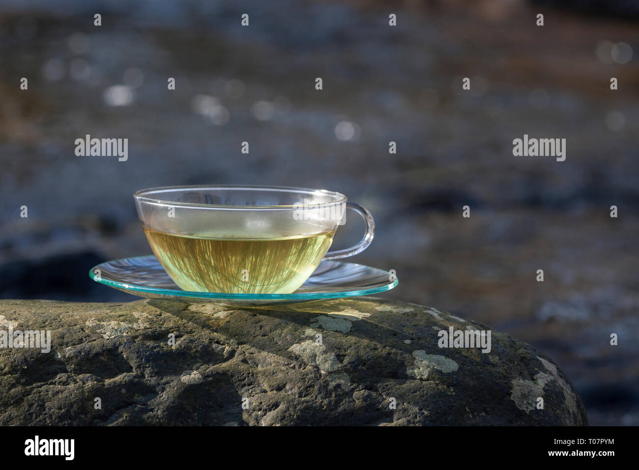 Labkraut tee -Fotos und -Bildmaterial in hoher Auflösung – Alamy