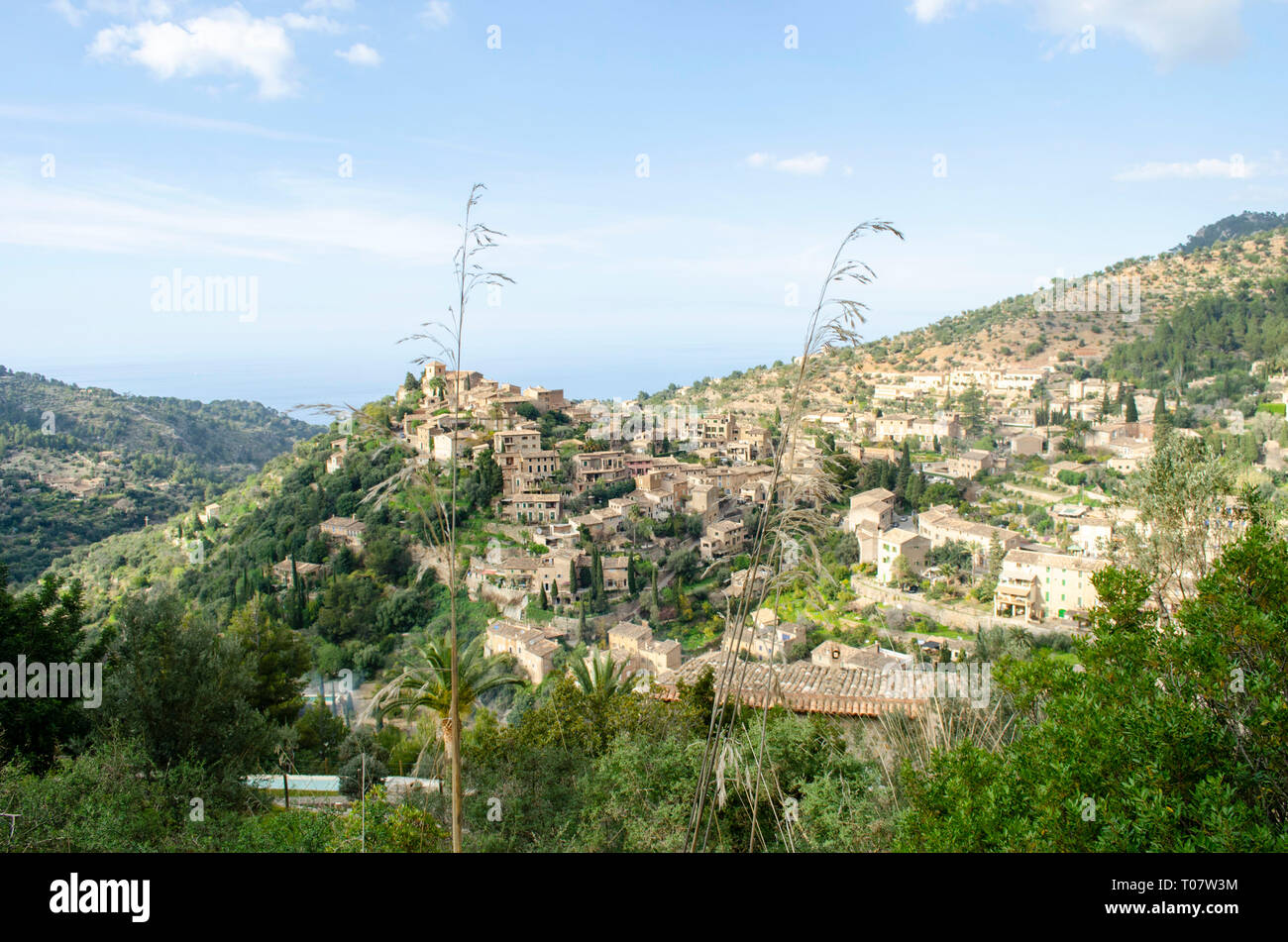 Mallorca Stockfoto