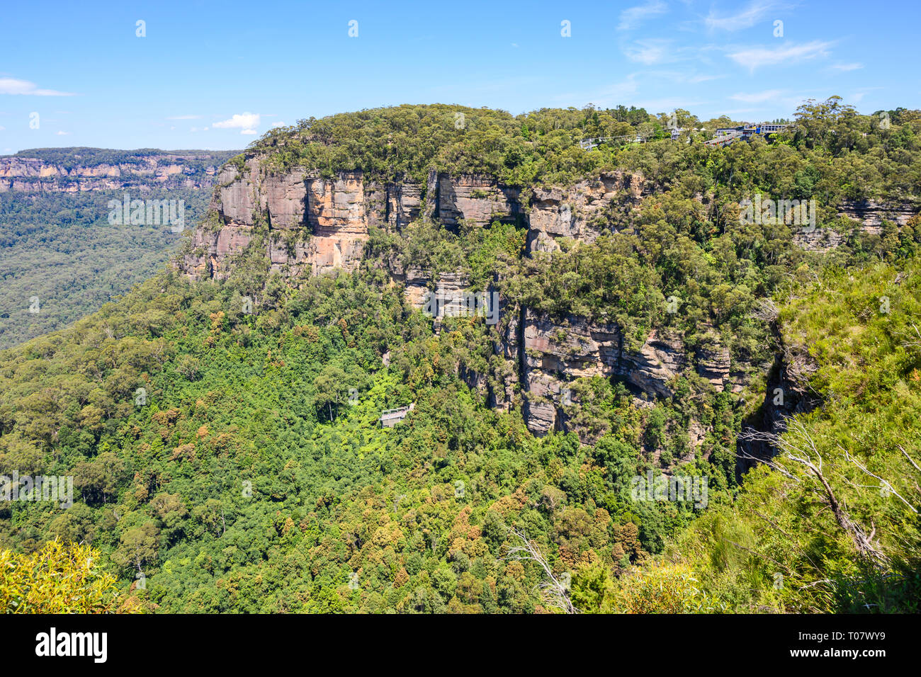 Blick auf Jamison Tal und die Berge von Wollumai Lookout in der Nähe von Katoomba, Blue Mountains National Park, New South Wales, Australien. Stockfoto