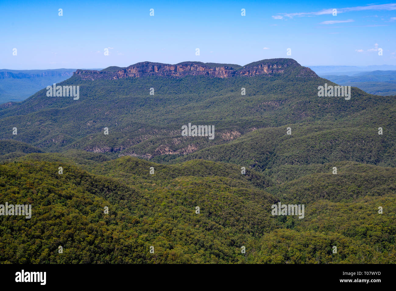 Montieren Sie einsam, in den Blue Mountains Nationalpark, von Wollumai Lookout, Katoomba gesehen, New South Wales, Australien. Stockfoto