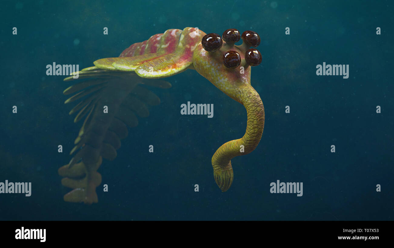 Schwimmen Opabinia regalis, prähistorische aquatische Tierarten aus der