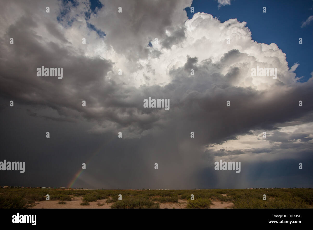 El Paso El Paso County, Texas, USA Stockfoto