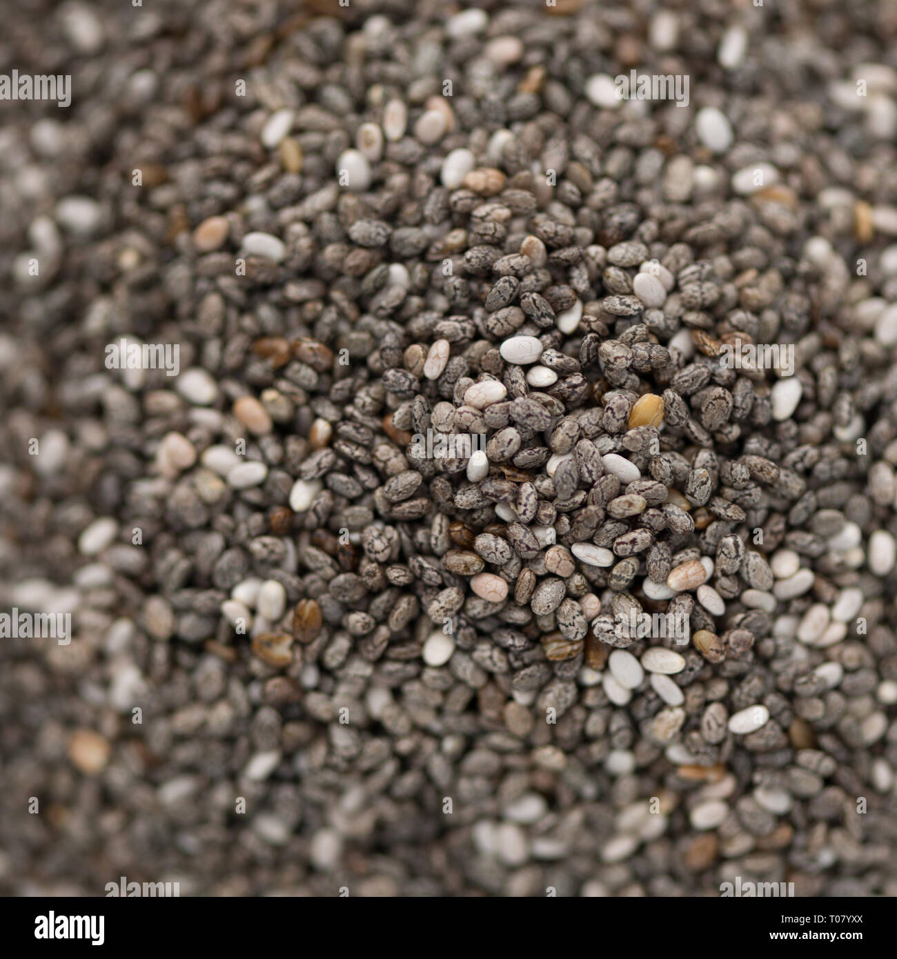 Chia-Samen Stockfoto