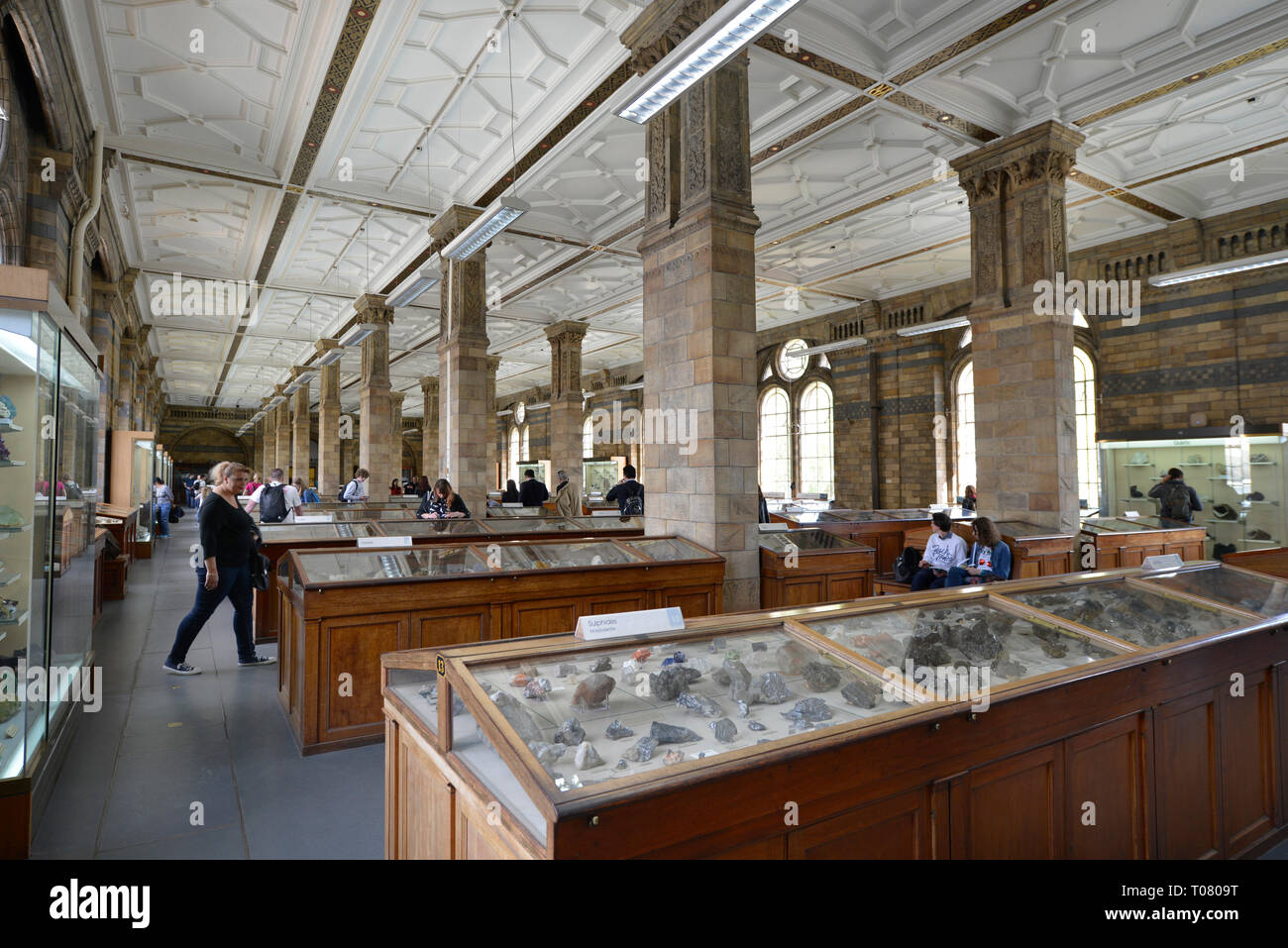 Sammlungen, Steine und Meteoriten, das Natural History Museum, Cromwell Road, Kensington, London, England, Grossbritannien Stockfoto