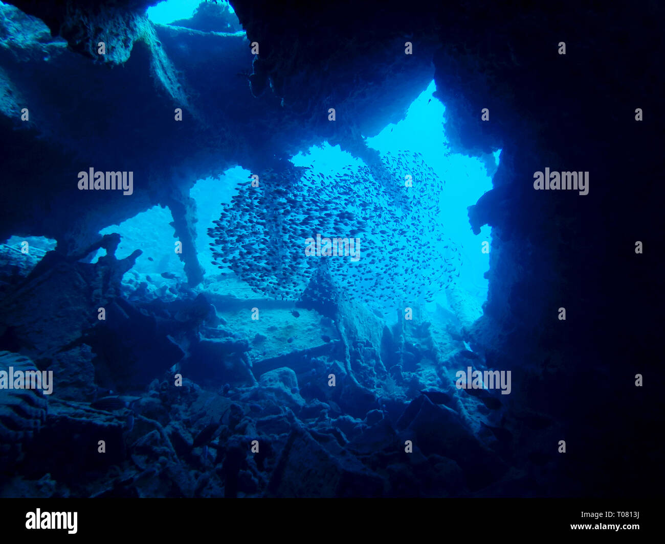 Laderaeume, Rack Thistlegorm, Rotes Meer, Aegypten Stockfoto