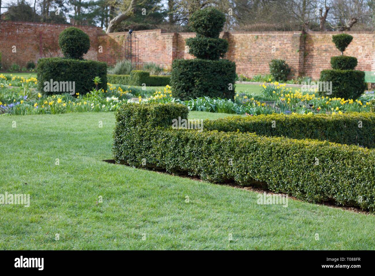 Bezaubernden Garten mit Formschnitt, Hedge und Frühlingsblumen Stockfoto