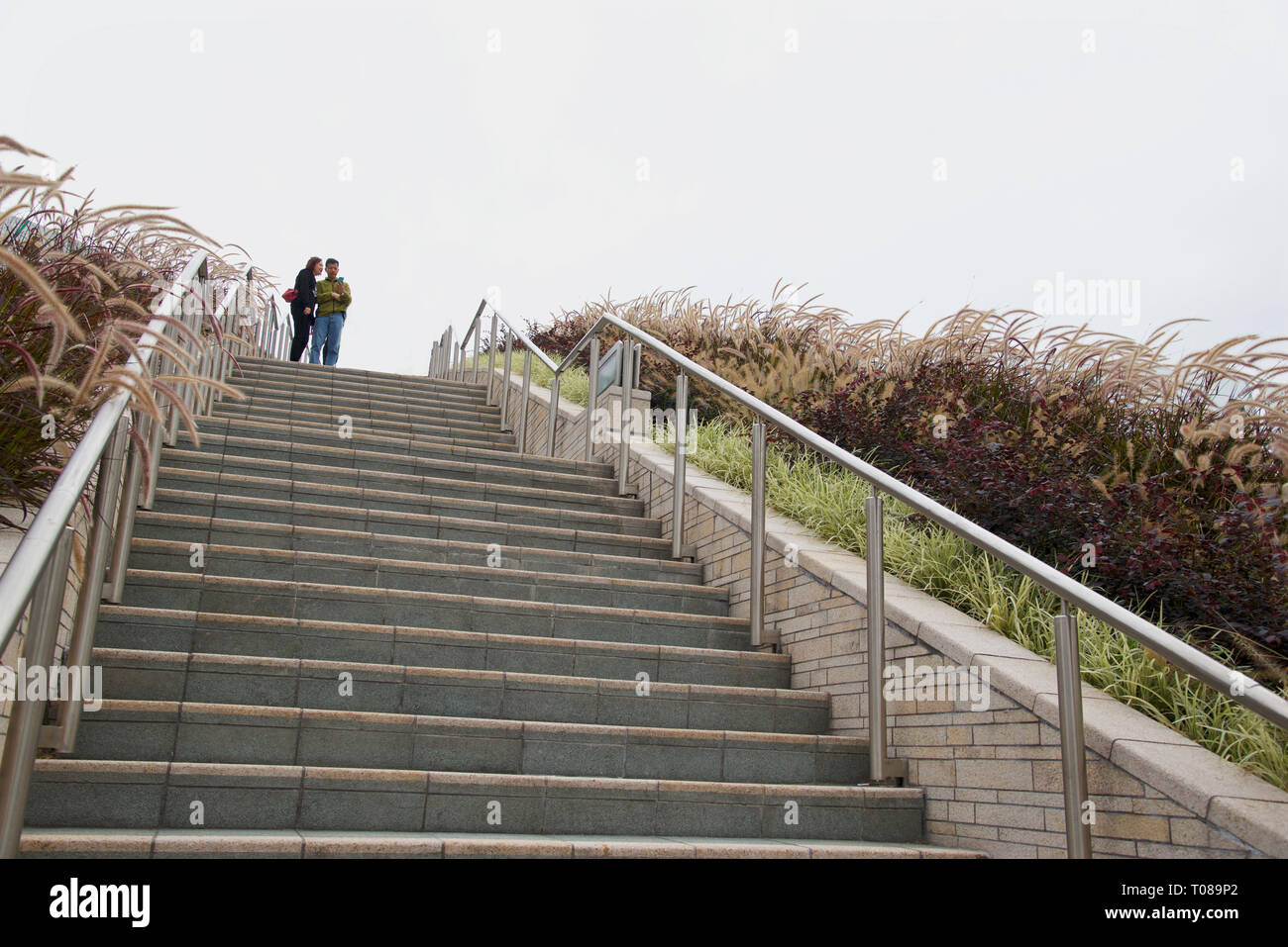 West Kowloon, Hongkong / China - 12-24-2018: Fußgängertreppe, die den Bahnhof Hong Kong - West Kowloon und den Dachgarten verbindet Stockfoto