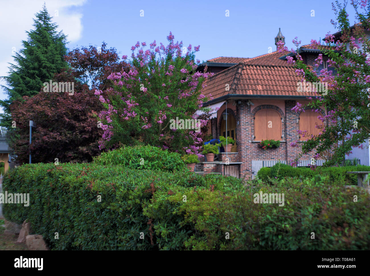 Garten mit gepflegten Hecken und blühende Bäume im Frühling Stockfoto