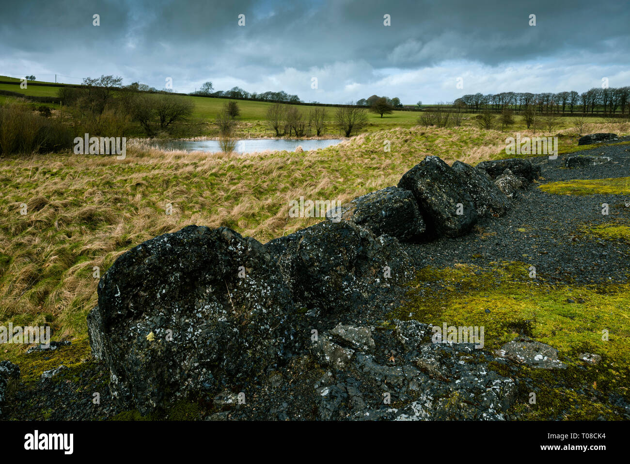 Die alte Mine arbeitet an Blackmoor finden in der Nähe der Kartause in der Mendip Hills in Somerset, England. Stockfoto