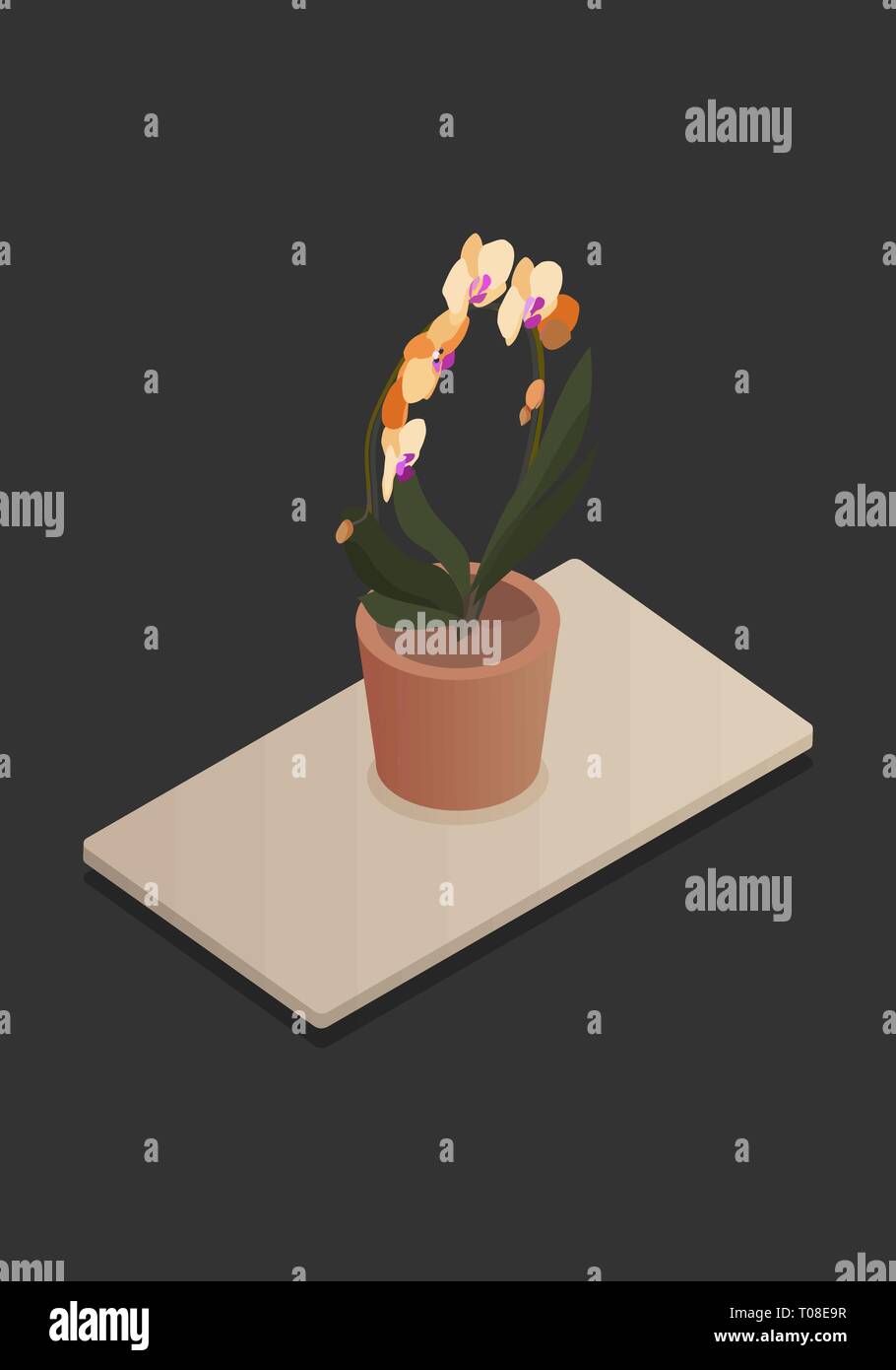 Isometrische Pflanzen im Topf auf den Tisch. 3D-Pflanzen für Design aus einem Wohnzimmer oder Büro. Vector Illustration. Stock Vektor