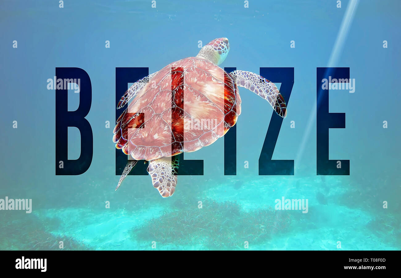 Belize, ein weltberühmtes Reiseziel für Tauchen und, das Blue Hole und Hol Chan Nationalpark Stockfoto