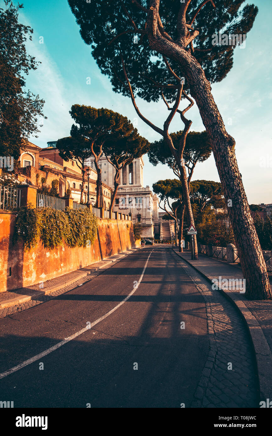 Eine typische Landschaft von Rom mit hohen Bäumen und alten Gebäuden Stockfoto