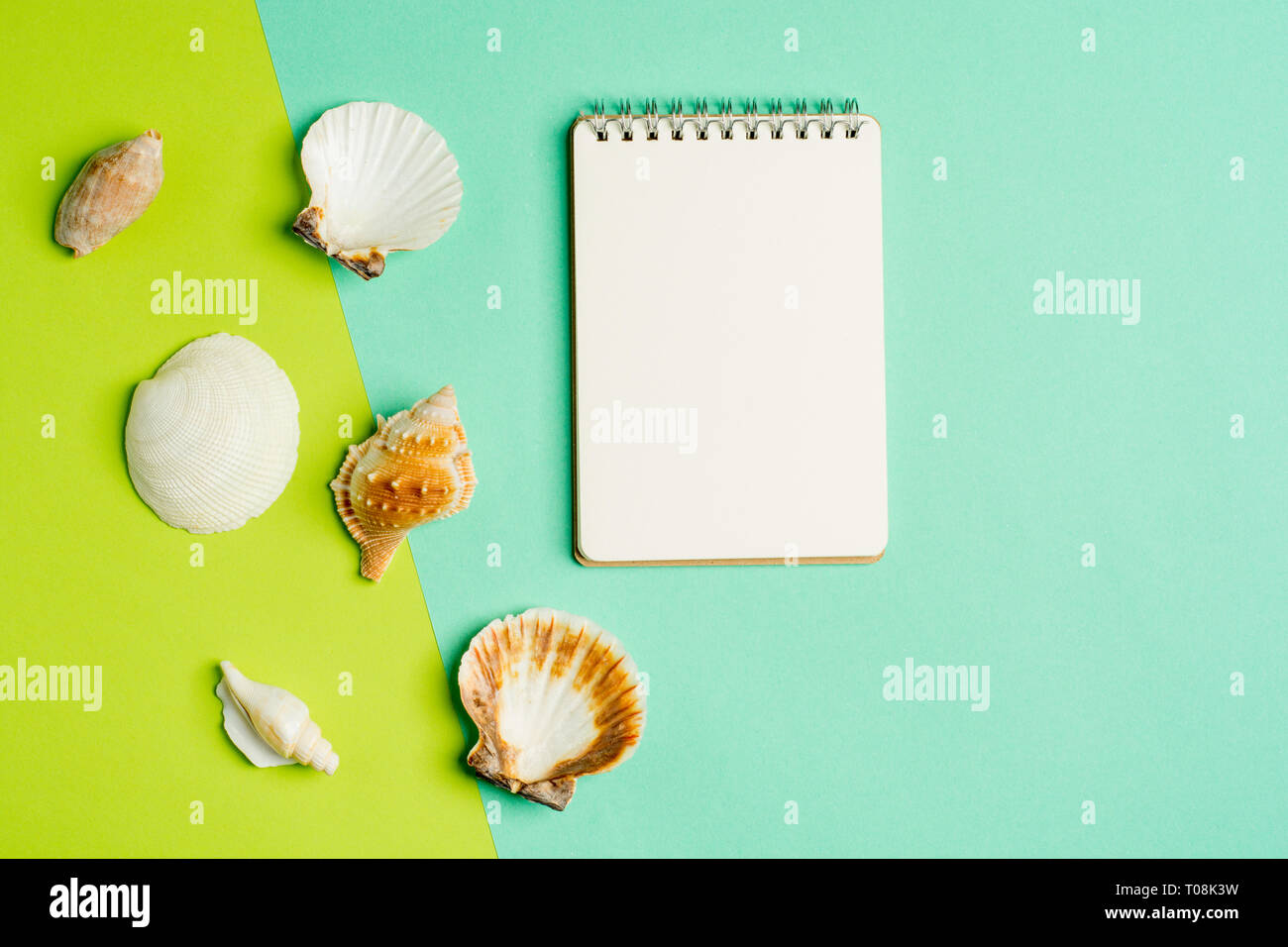 Sommerferien flach Konzept mit weißen Notepad und Muscheln auf Pastell trendy blau-grünem Hintergrund. Ansicht von oben. Stockfoto