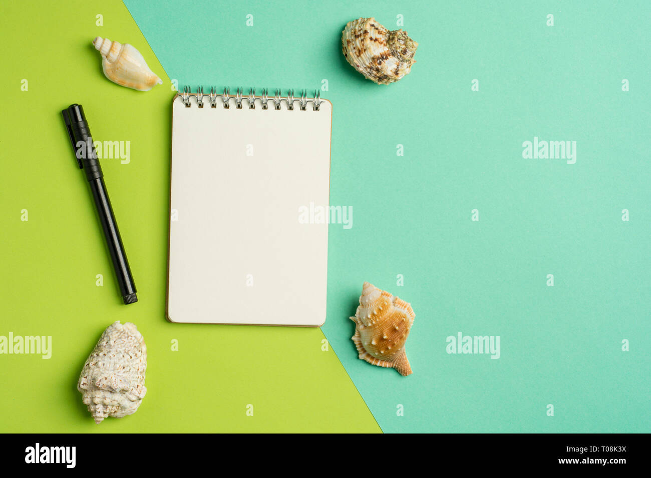 Sommerferien flach Konzept mit Stift und Notizblock und ein paar Muscheln auf Pastell trendy blau-grünem Hintergrund. Ansicht von oben. Stockfoto