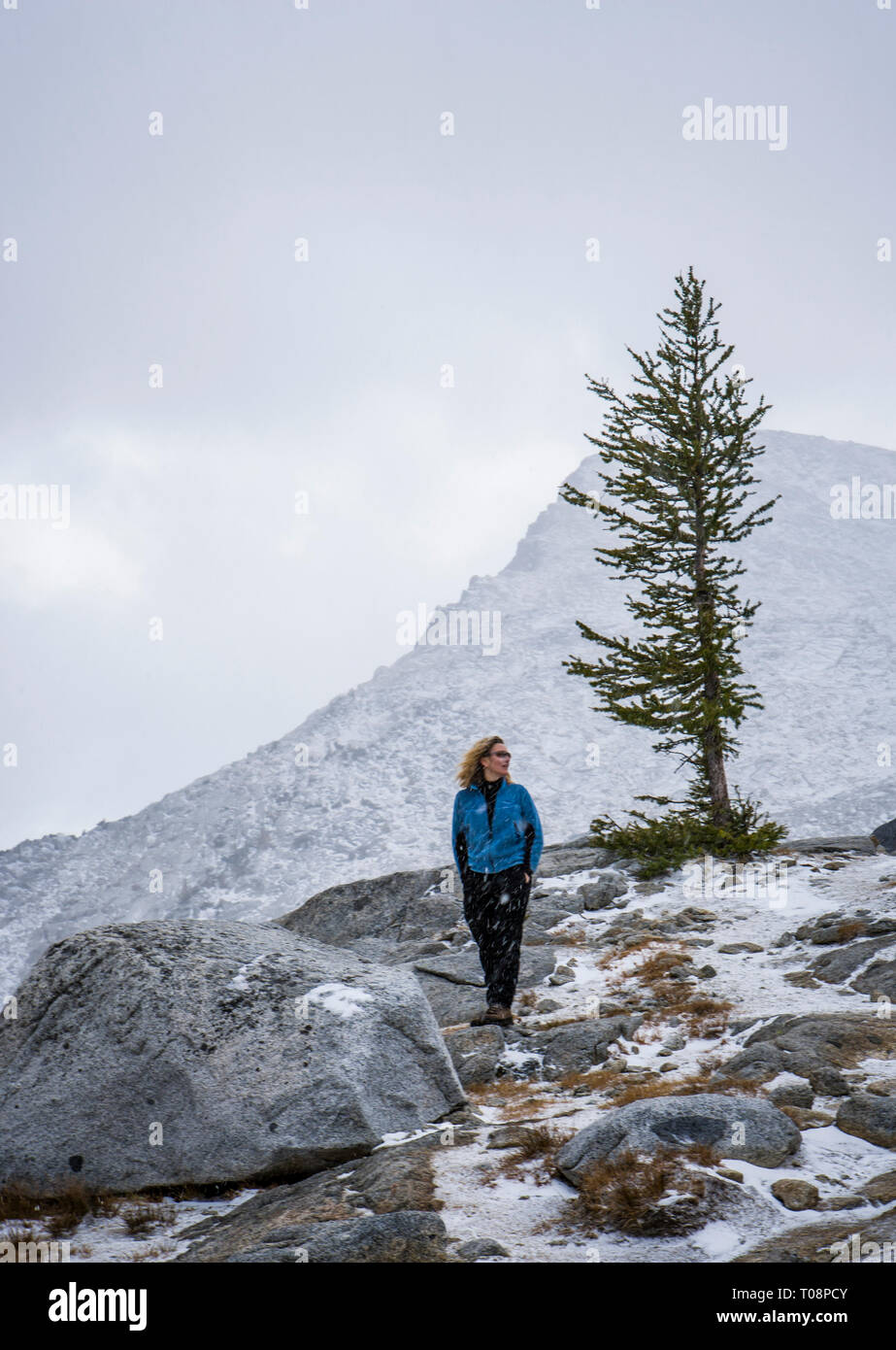 Frau, die in der Nähe einer Lärche Baum im Schnee Squall, Verzauberung Seen Wilderness Area, Washington, USA. Stockfoto