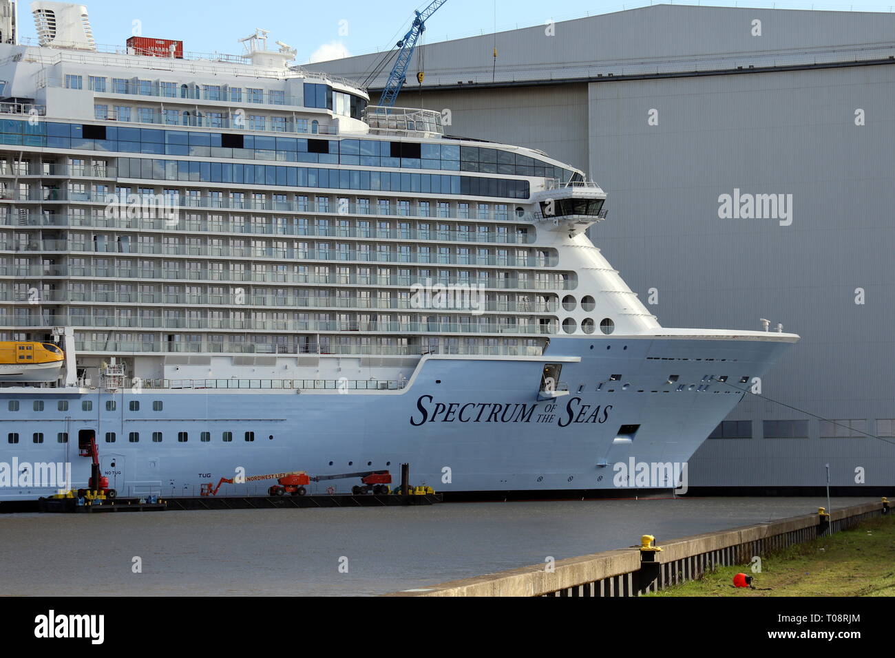 Das neue Kreuzfahrtschiff Spektrum der Meere ist am 17. März 2019 in Papenburg auf der Meyer Werft. Stockfoto