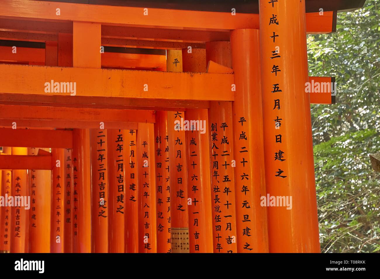 Fushimi Inari Taisha torii Tore Stockfoto