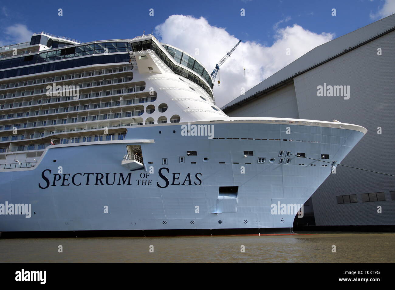 Das neue Kreuzfahrtschiff Spektrum der Meere ist am 17. März 2019 in Papenburg auf der Meyer Werft. Stockfoto
