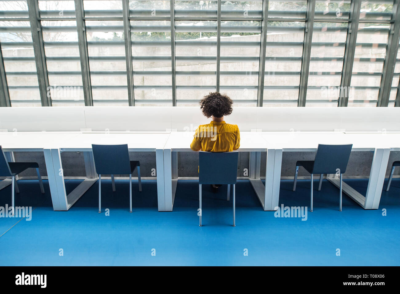Ansicht der Rückseite des jungen Studenten oder geschäftsfrau am Schreibtisch sitzen im Zimmer in einer Bibliothek oder im Büro. Stockfoto