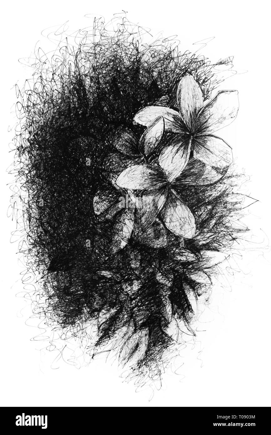 Die Natur ist Chaos und Harmonie Stockfoto