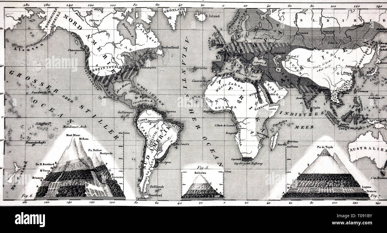 1849 Bilder Weltkarte der Klimazonen und Biomes Stockfoto