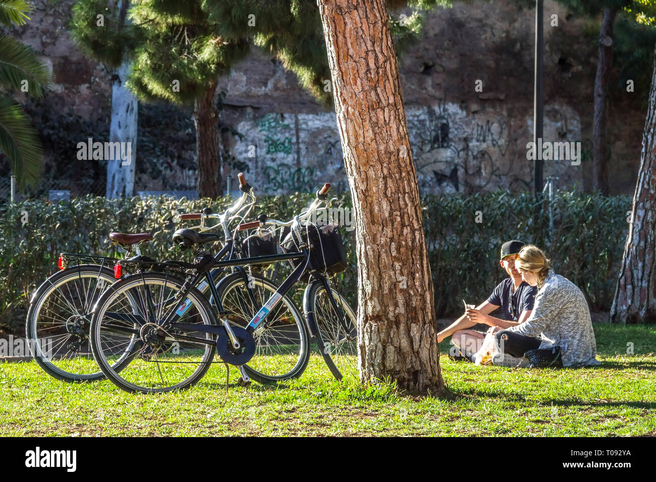Ein Paar, Leute, die sich unter Bäumen entspannen, Fahrräder parken an der Kiefer, Valencia Turia Gärten, Spanien Fahrrad Stadt Freunde im Park mit Fahrrad, Rasen Stockfoto