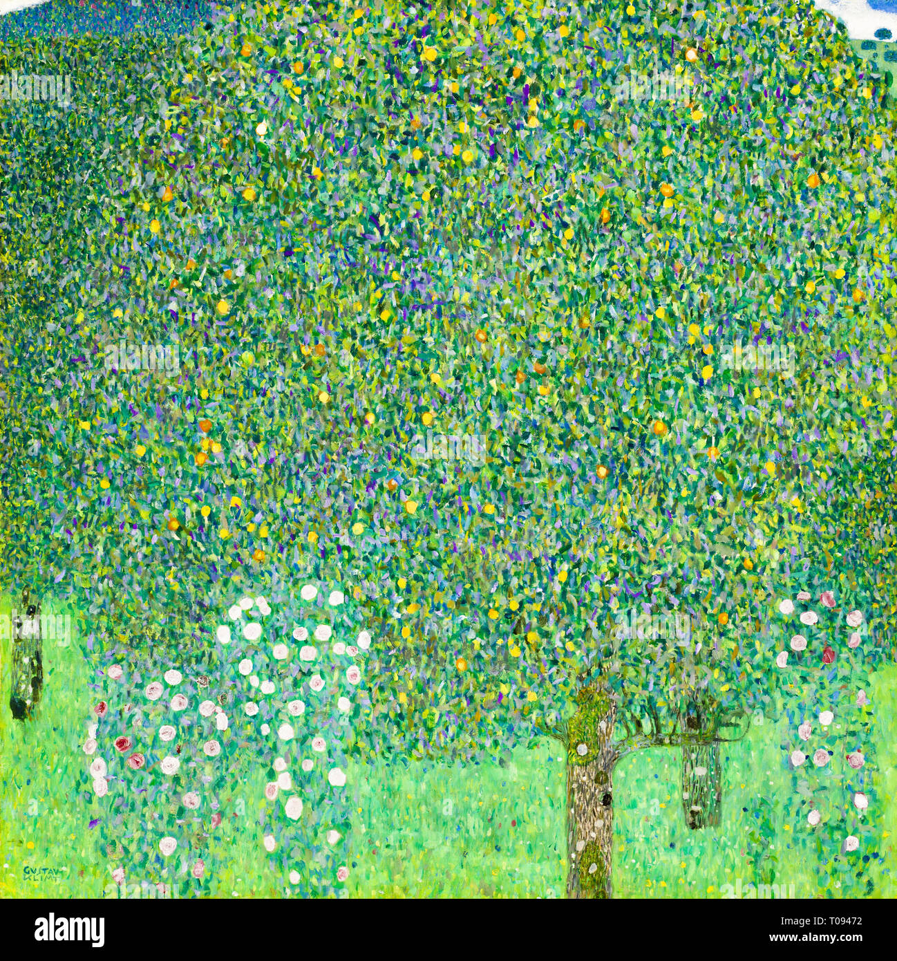 Gustav Klimt, Rosensträucher unter den Bäumen, C. 1905 Stockfoto
