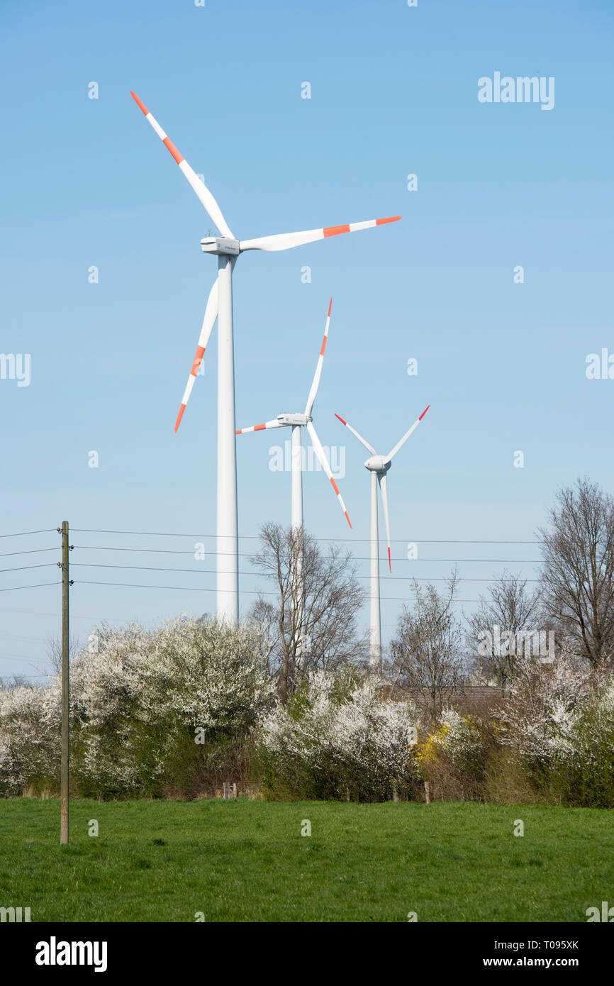 Deutschland, Nordrhein-Westfalen, Kreis Wesel, Hamminkeln-Loikum, Stockfoto