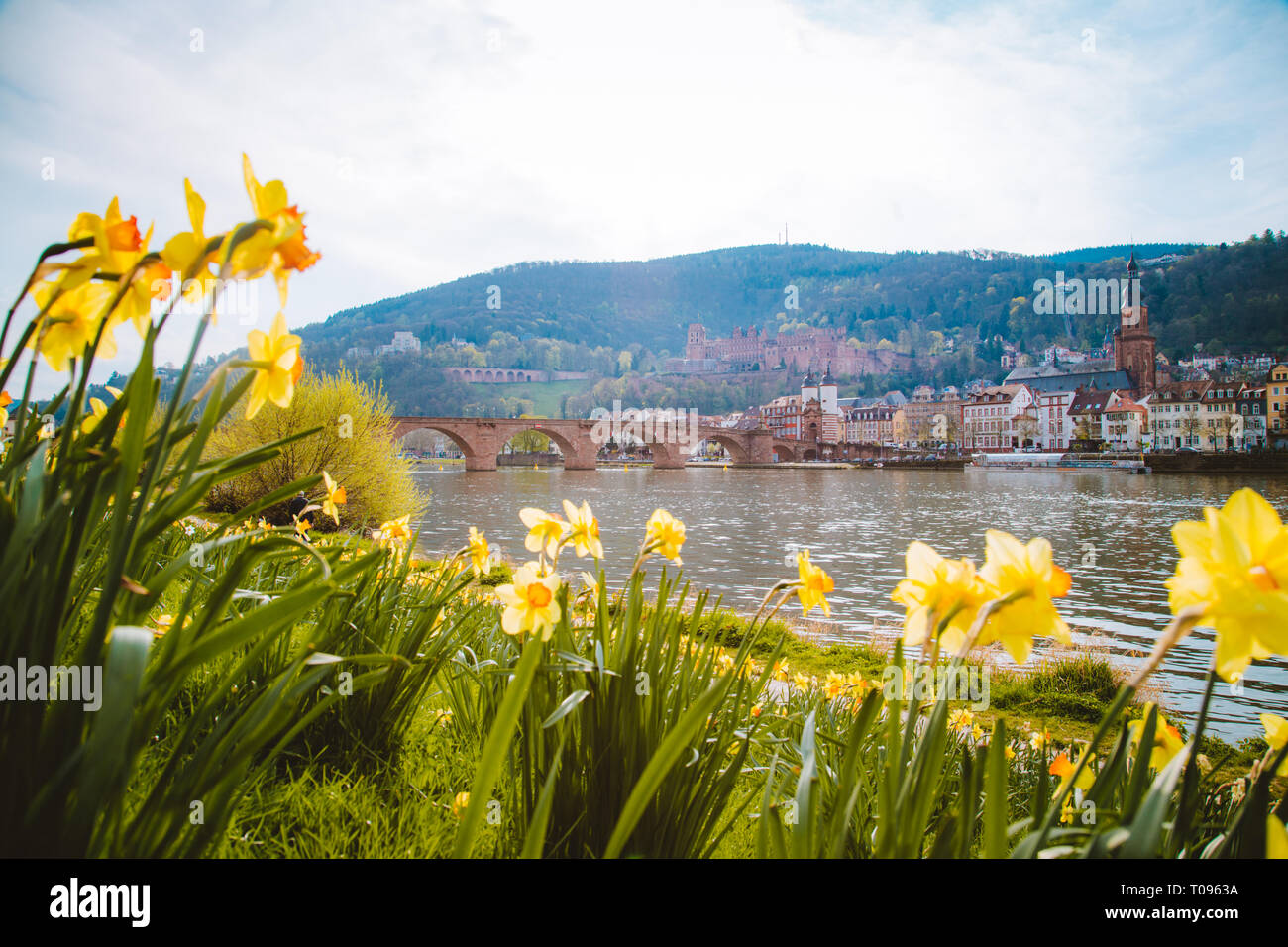 Panoramablick auf die Altstadt von Heidelberg mit blühenden Blumen im Frühling, Baden-Württemberg, Deutschland Stockfoto