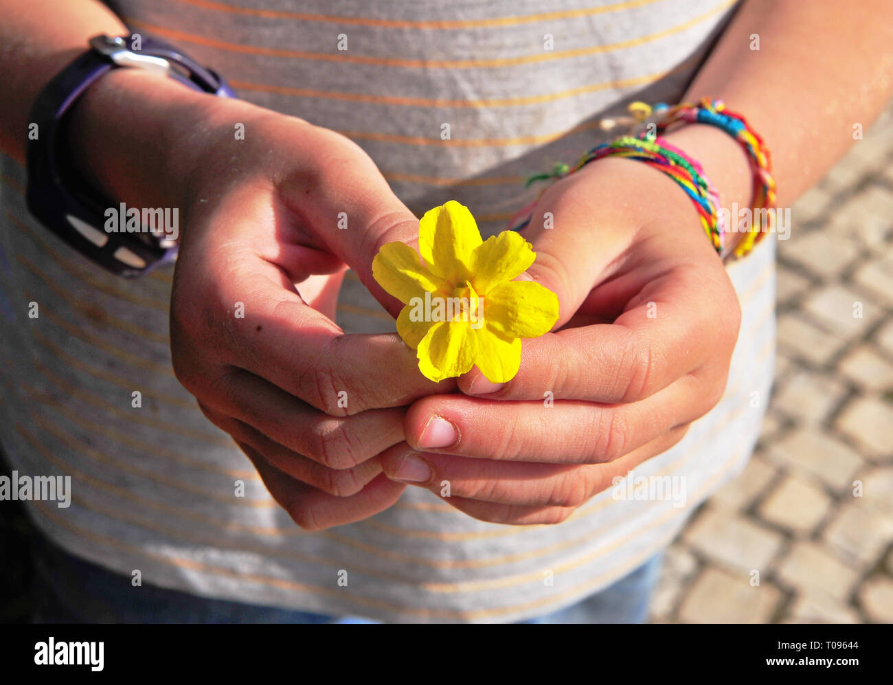 CChild's Finger halten Sie die gelbe Blume Stockfoto
