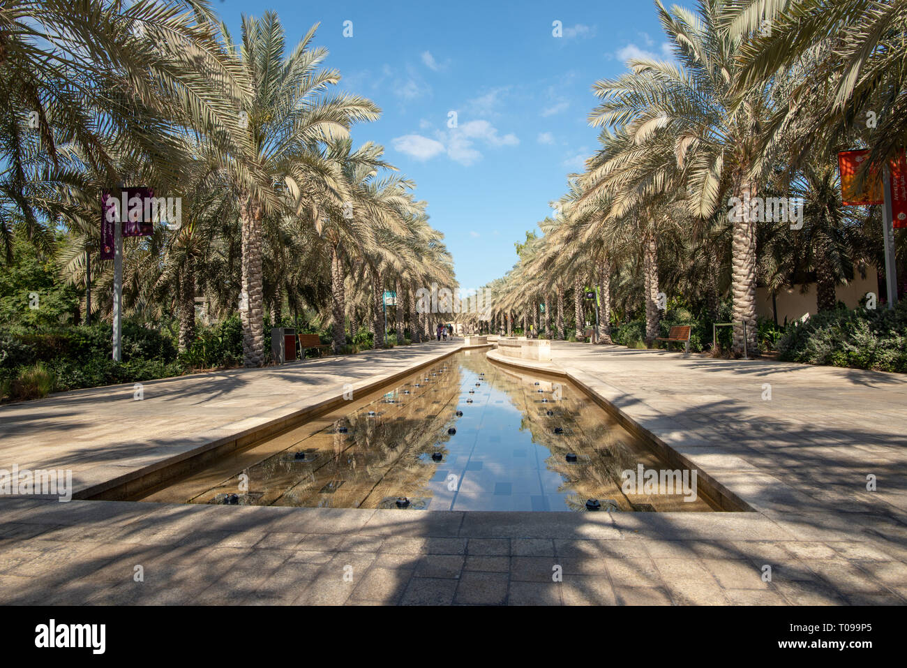 Main Park Alley und Wasserspiel mit Reihen von Dattelpalmen, Umm Al Emarat Park, Abu Dhabi, Vereinigte Arabische Emirate Stockfoto