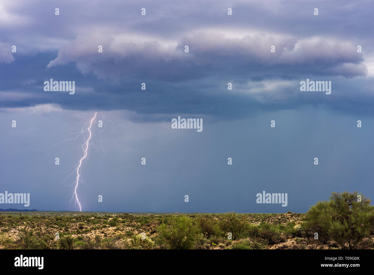 Blitzschlag während eines Sturms in der Wüste von Arizona Stockfoto