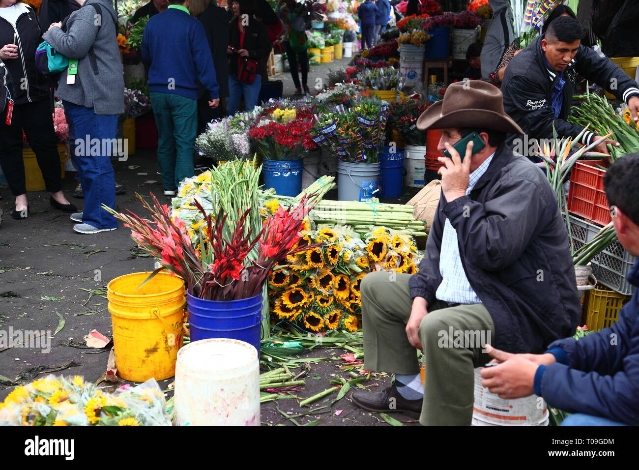 Plaza de Mercado de Paloquemao, Blumenmarkt im Norden von Bogota, Kolumbien Stockfoto