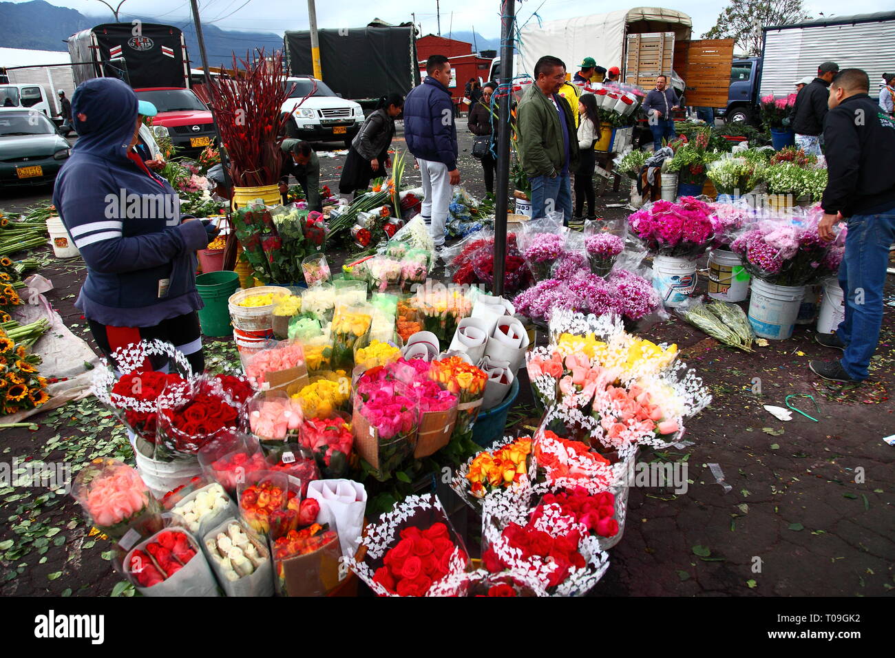 Plaza de Mercado de Paloquemao, Blumenmarkt im Norden von Bogota, Kolumbien Stockfoto