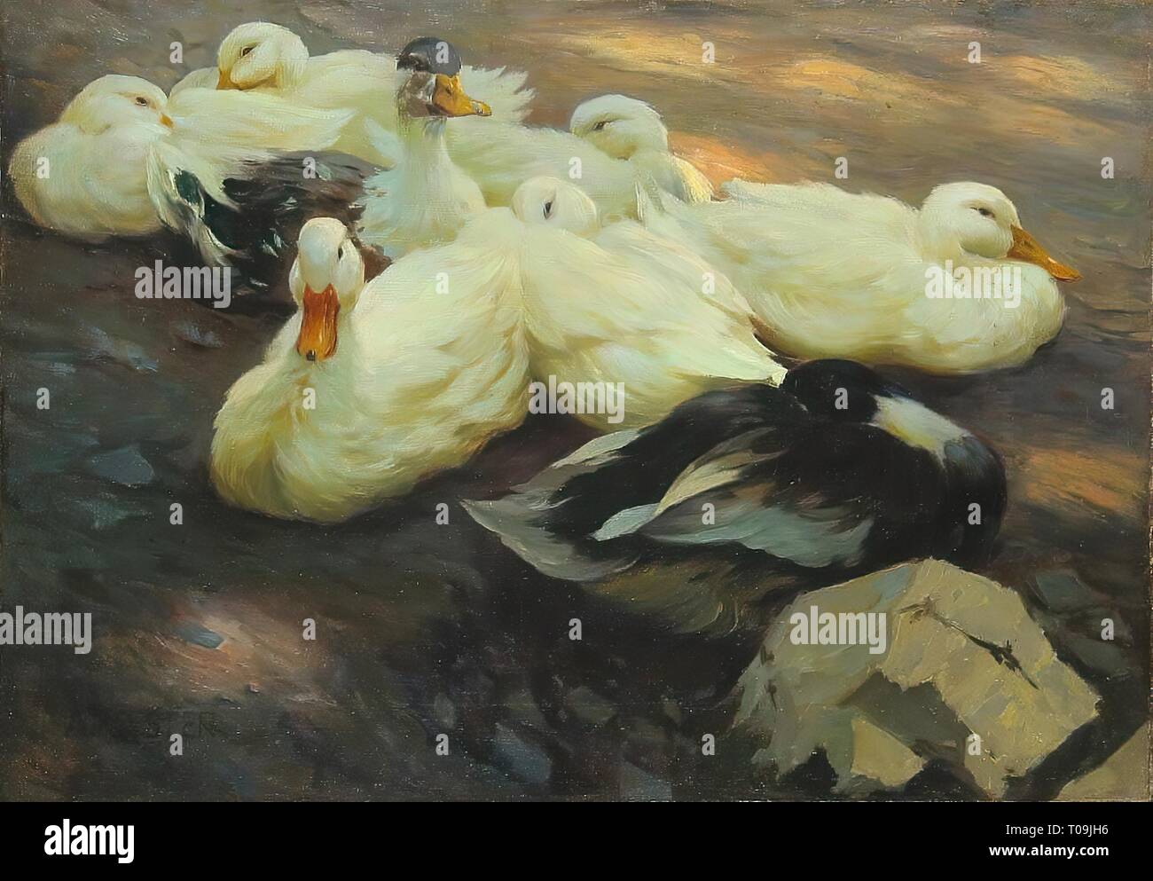 'Ducks'. Deutschland, Ende des 19. Jahrhunderts. Abmessungen: 60,5 x 86 cm. Museum: Staatliche Eremitage, St. Petersburg. Autor: Alexander Max Koester. Stockfoto