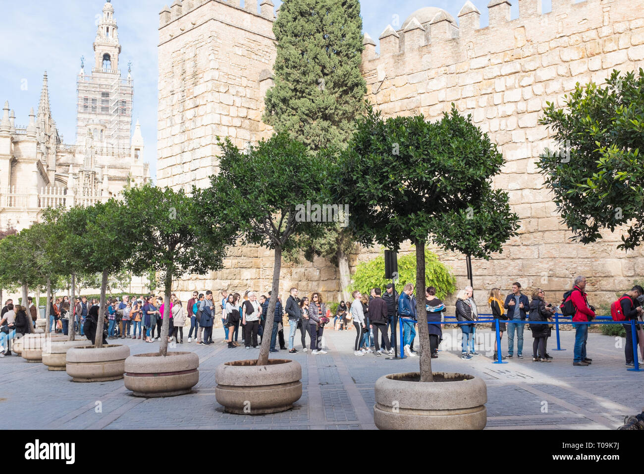 Touristen Queuing der Real Alcazar in Sevilla, Spanien zu besuchen Stockfoto