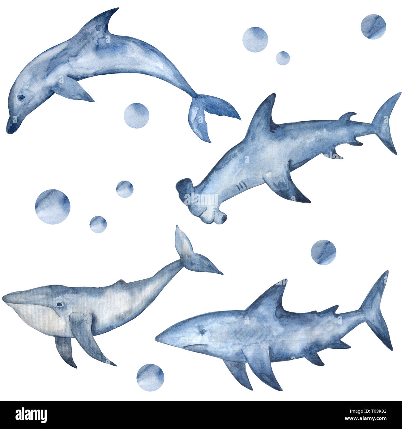 Aquarell Hammerhead Haie Delfine Und Wale Hand Gemalte Aquarell Wasserbewohner Stockfotografie Alamy