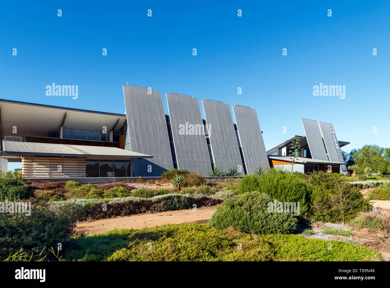 Scherbolzen Outback: Die australischen Schafscherer' Hall of Fame, Heu, New South Wales, Australien Stockfoto