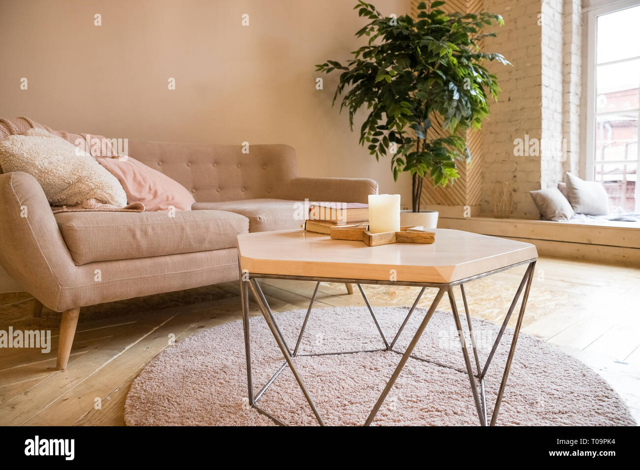 Sofa Couchtisch Und Pflanze Im Wohnzimmer Im Stil