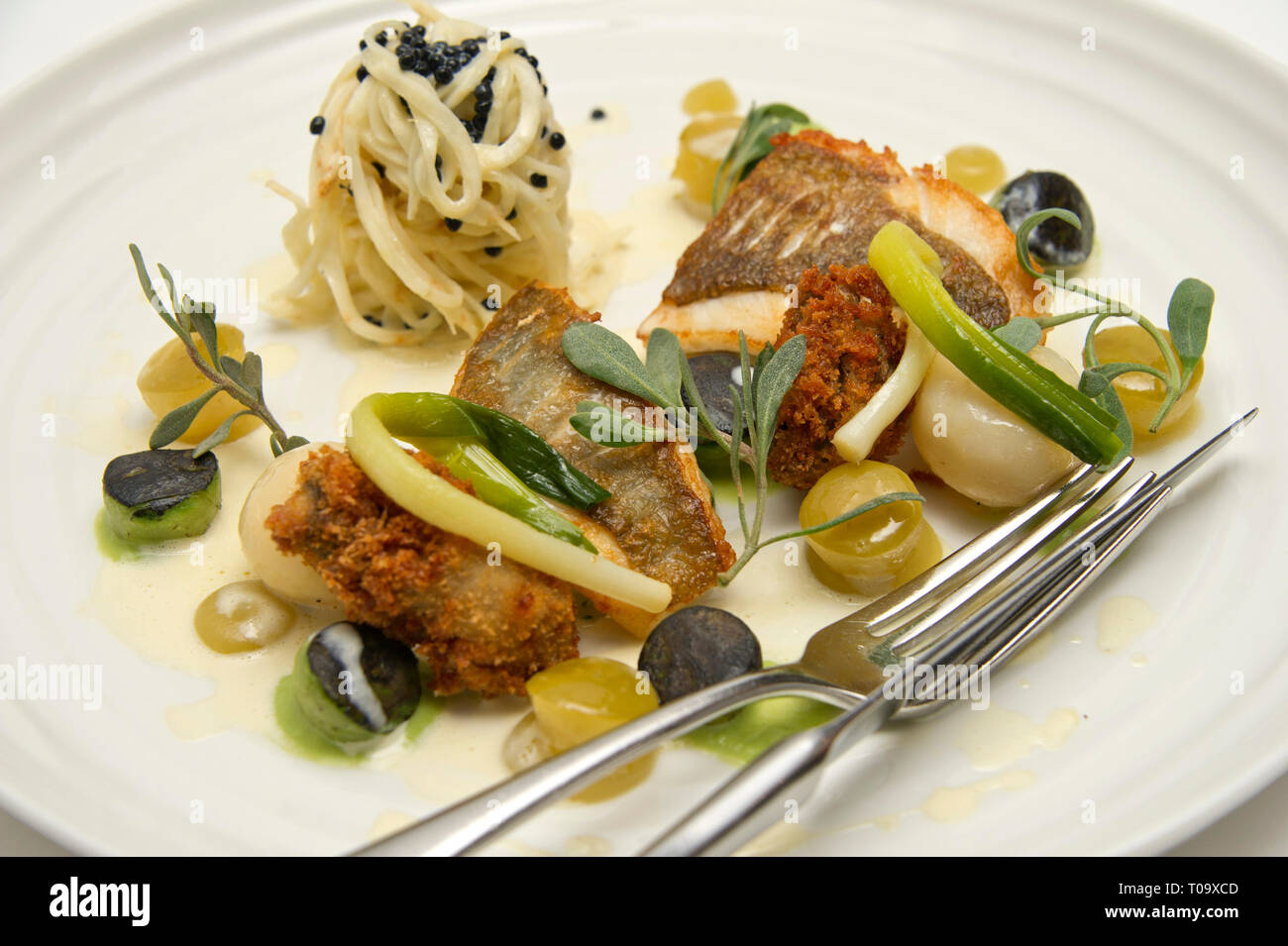John Dory, knollensellerie Linguine, knusprige Austern, gebeizt Apple und Austernsauce. Stockfoto