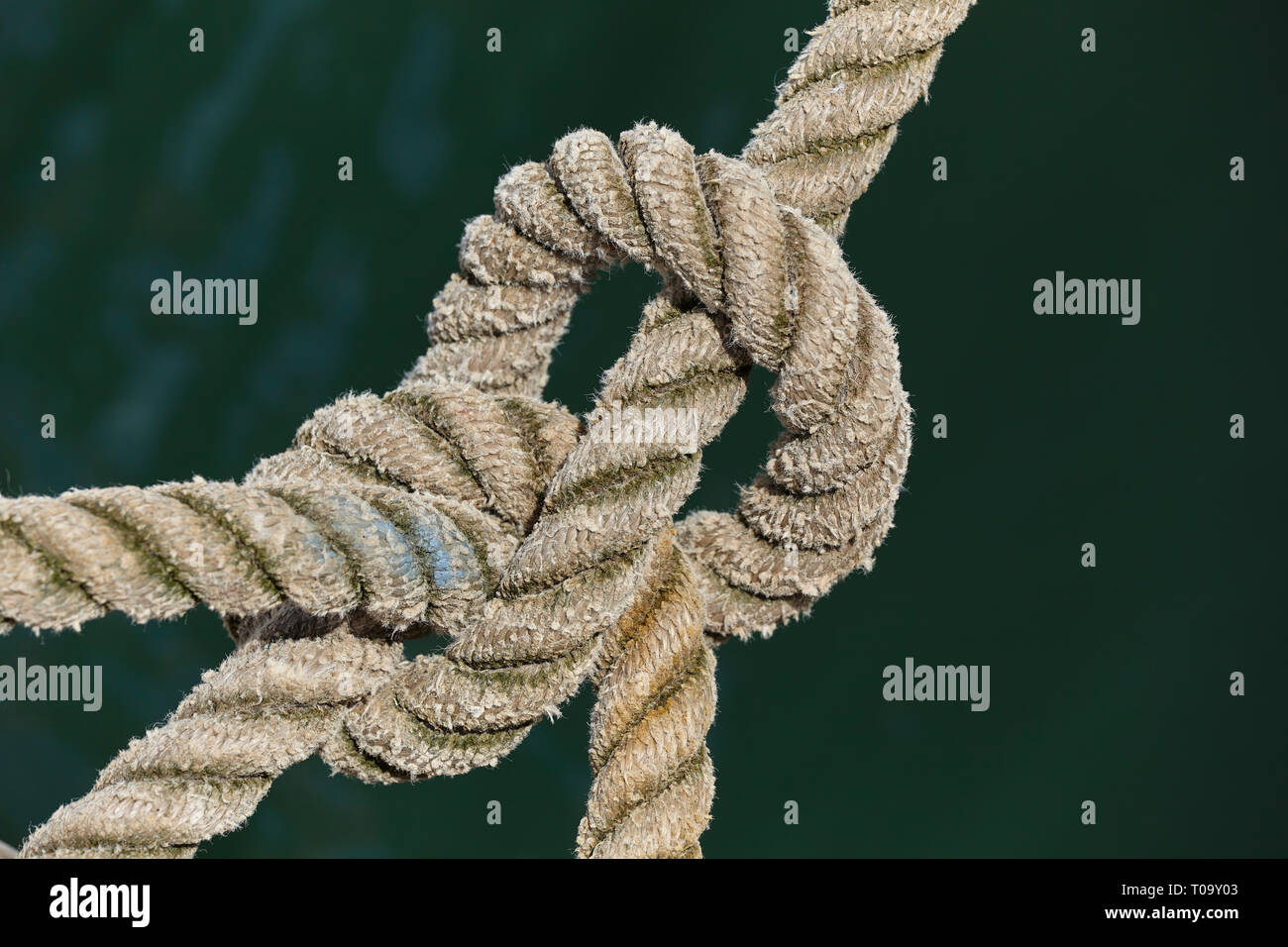 Einer verknoteten Leine sichern ein Boot auf seinen Liegeplatz, Hafen von Brixham, Devon, Großbritannien. Stockfoto