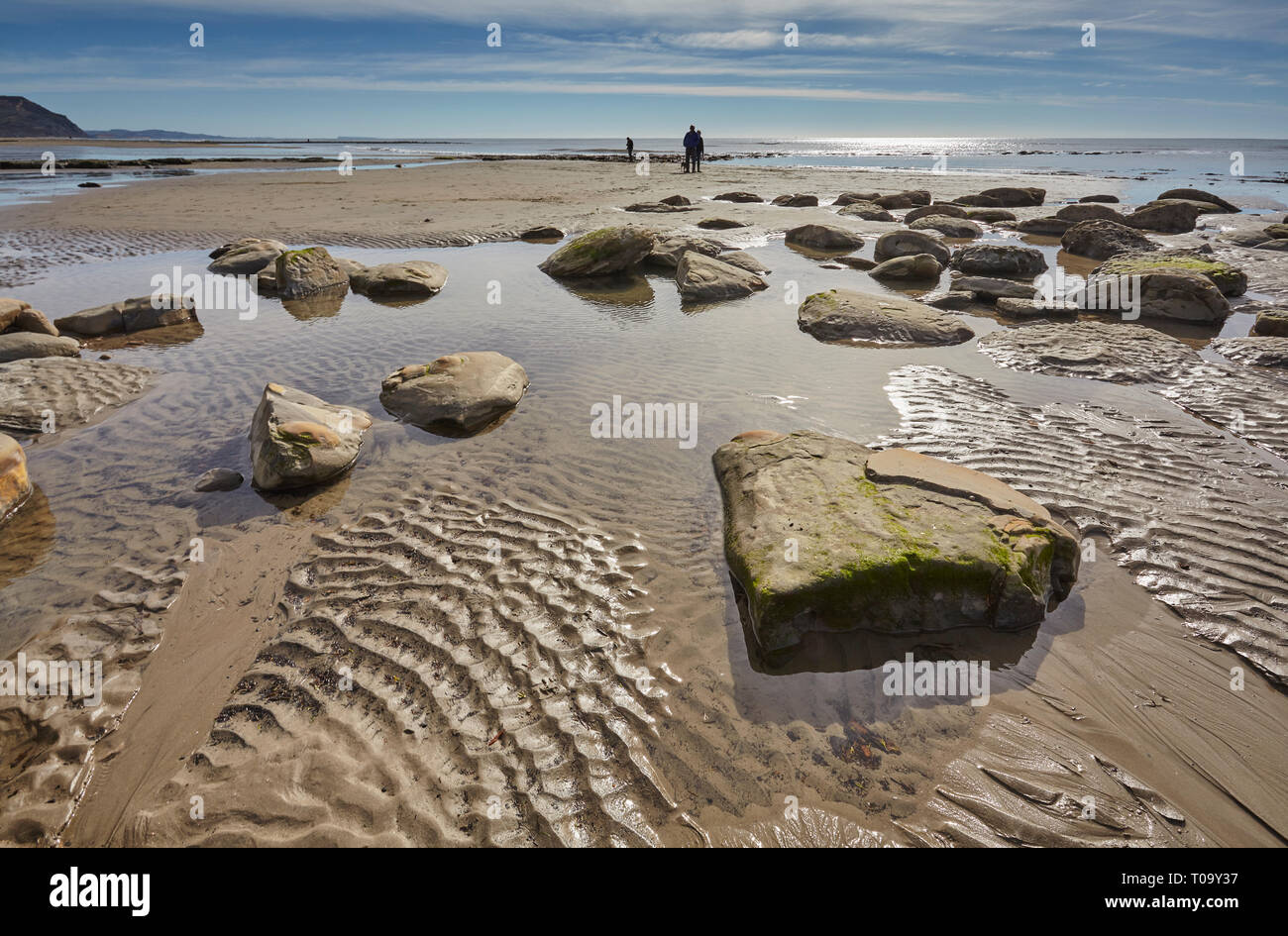 Ein Strand bei Ebbe, mit nassem Sand und Reflexionen; bei Charmouth, in der Jurassic Coast, Weltkulturerbe, Dorset, Großbritannien. Stockfoto