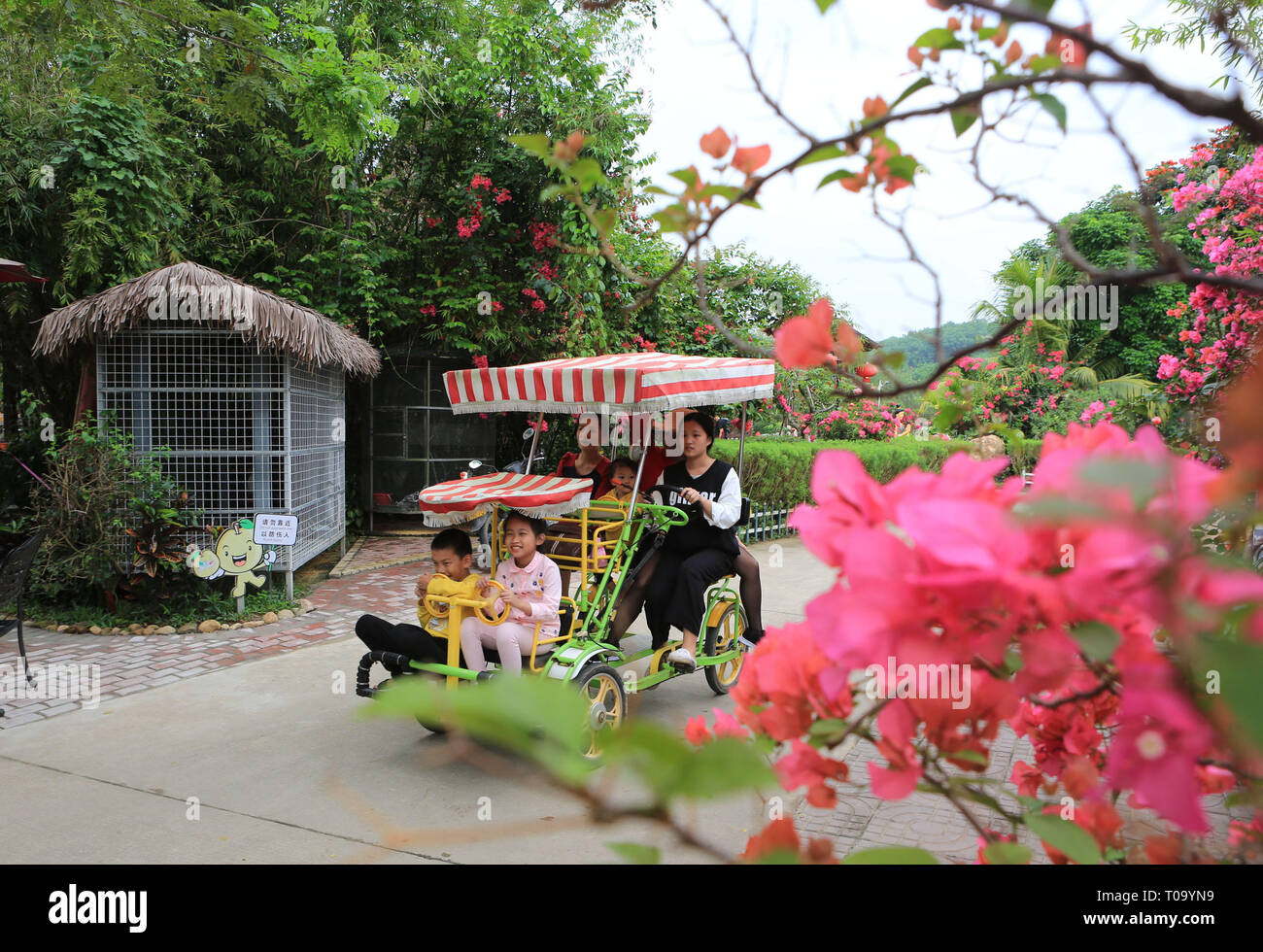 Wanning, China Hainan Provinz. 16 Mär, 2019. Touristen haben Spaß bei einem Kaffee themed botanischen Park in Xinglong Stadt Wanning City, South China Hainan Provinz, 16. März 2019. Mehr als 76 Millionen inländischen und ausländischen Touristen die Insel der Provinz im Jahr 2018 besuchte, um 11,8 Prozent mehr als im Vorjahr, und Tourismus stieg der Umsatz um 14,5 Prozent gegenüber dem Vorjahr auf mehr als 95 Milliarden Yuan (14 Milliarden US-Dollar), werden Daten aus der Hainan Tourismus Behörde zeigte. Credit: Sui Xiankai/Xinhua/Alamy leben Nachrichten Stockfoto