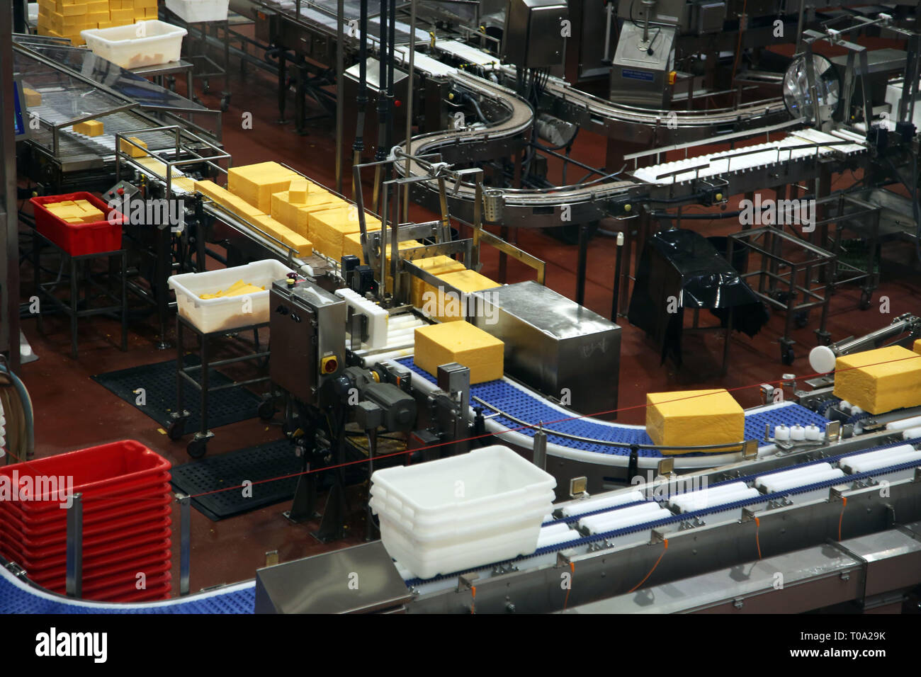 Tillamook, Oregon, USA. 3. November, 2018. Die Besucher der Tillamook Cheese Factory in der Lage, die einzelnen Schritte der Käseherstellung Prozess in Aktion in der Galerie. Hier können Sie sich in der Fabrik als unser Bauernhof - frische Milch in große Blöcke von Zukunft Käse verwandelt. Credit: Katrina Kochneva/ZUMA Draht/Alamy leben Nachrichten Stockfoto