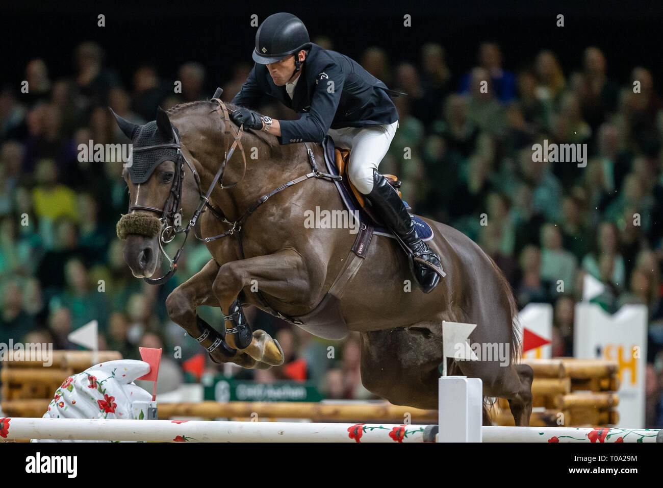 Den Bosch, Niederlande. 17 Mär, 2019. DEN BOSCH, 17-03-2019, Brabanthallen, Pferdesport, die Dutchmasters, Rolex Grand Prix Fahrer Harrie Smolders (NED) mit Don VHP Z N.O.P. während der Rolex Grand Prix Credit: Pro Schüsse/Alamy leben Nachrichten Stockfoto