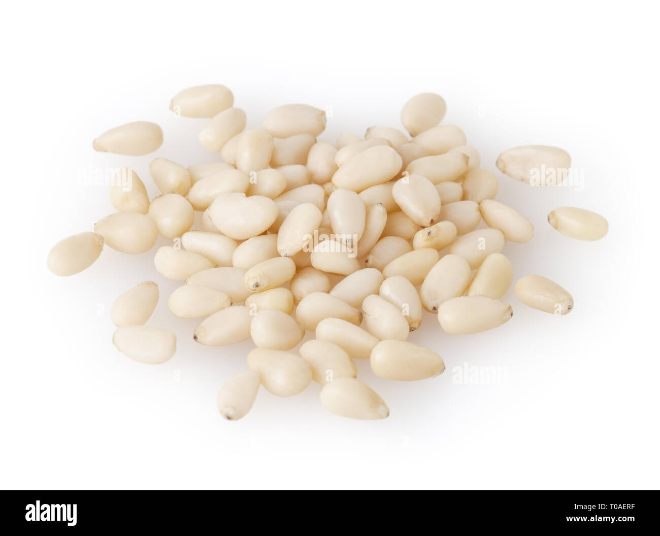 Cedar enthäutet Pinienkerne auf weißem Hintergrund mit Freistellungspfad isoliert Stockfoto